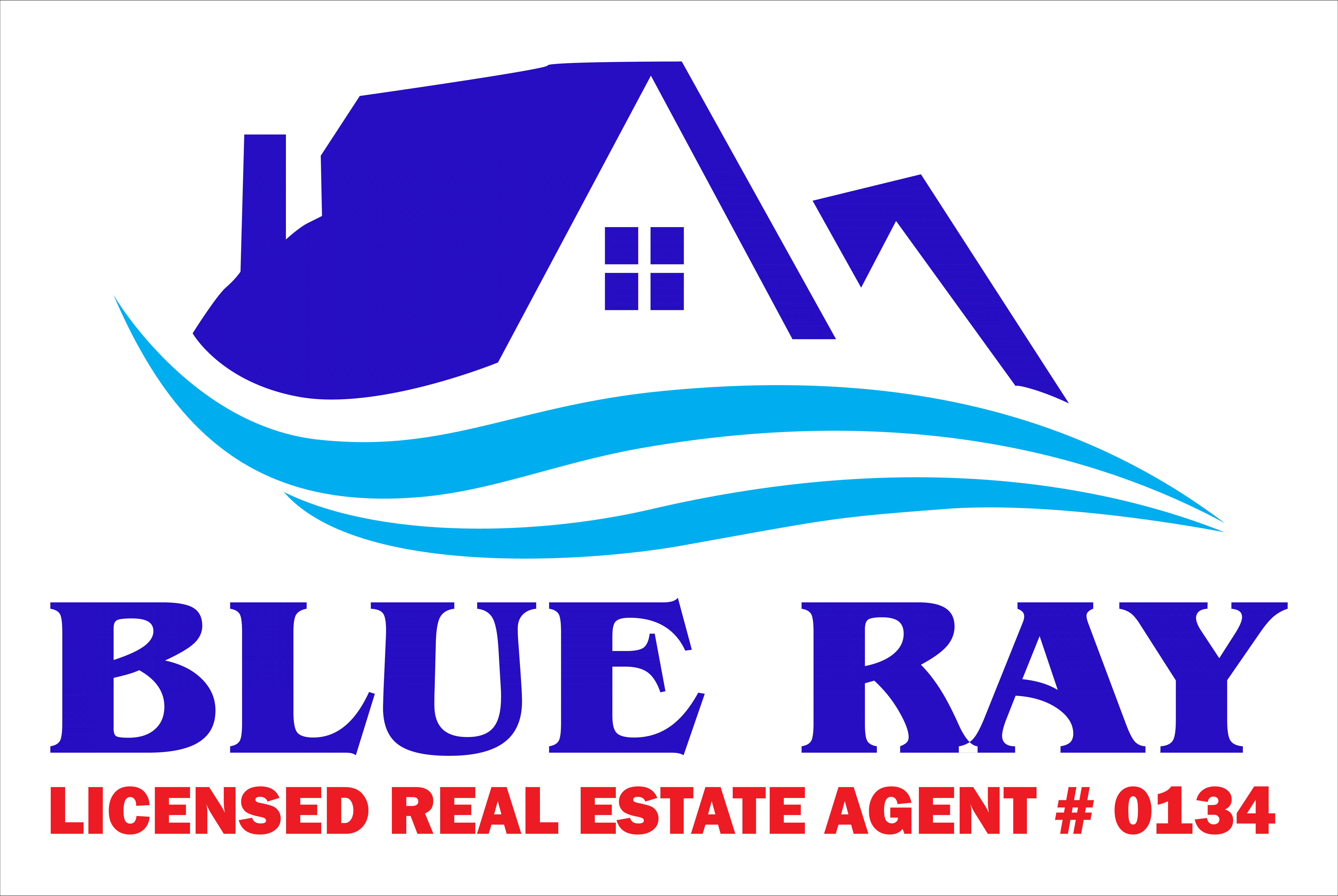 Blue Ray Investment (Fiji) Pte Limited